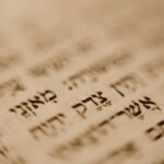 אותיות של התורה