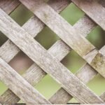 כלוא בבית סוהר - למה קשה לצאת מדיכאון? איך אפשר לצאת מדיכאון? מרגיש תקוע בדיכאון זמן רב? איך אוכל להפסיק להיות בדיכאון?