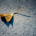 20 סיבות לתחושת חוסר ערך עצמי - למה אני מרגיש חסר ערך? למה אין לי ערך עצמי? כיצד לבנות ערך עצמי?